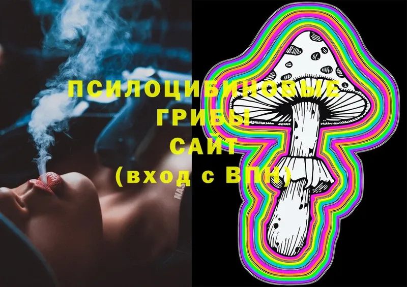 Псилоцибиновые грибы Psilocybe  Вязники 